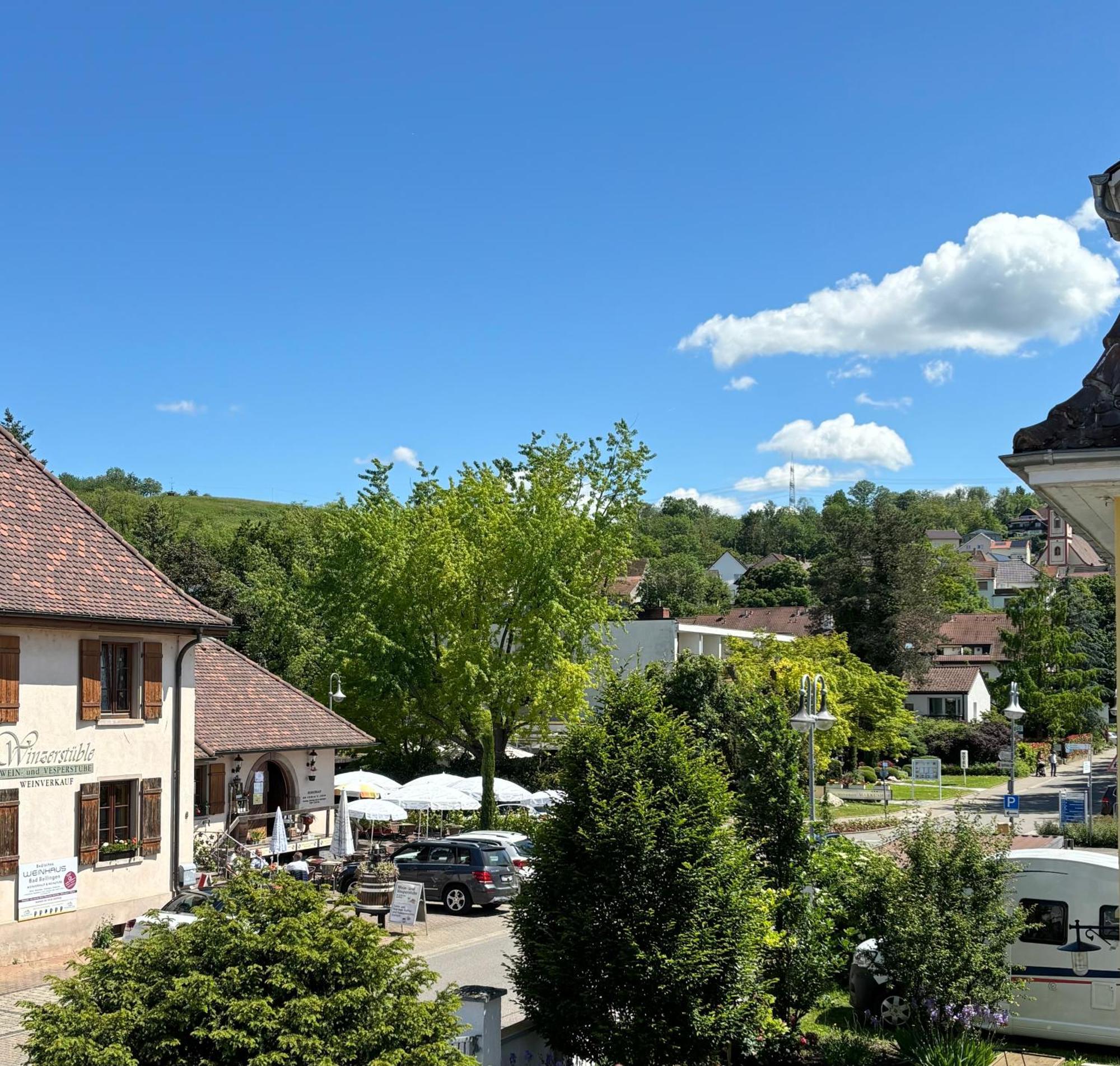 Gesamte Wohnung, Kueche, Parkplatz, Terrasse Bad Bellingen Exterior photo