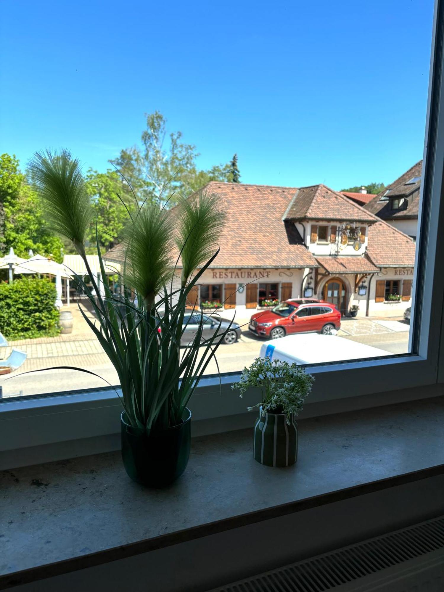 Gesamte Wohnung, Kueche, Parkplatz, Terrasse Bad Bellingen Exterior photo